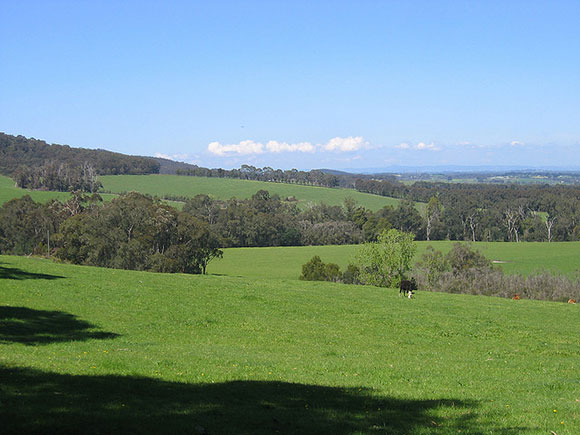 Dairy Factory will close if foreign buy up goes ahead