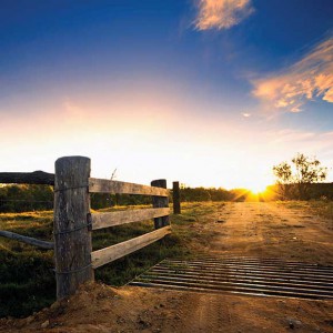 first-farm-owners-grant