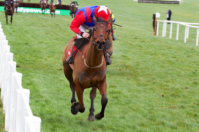 Support Jumps Racing in Victoria